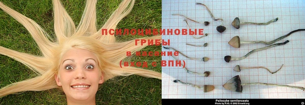 гашик Верхнеуральск