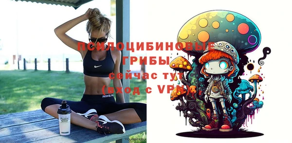 гашик Верхнеуральск