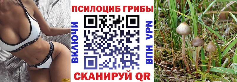 Галлюциногенные грибы Psilocybe  Череповец 